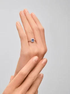 Anillo de oro blanco de 18K con zafiro azul royal en talla oval y diamantes en talla brillante