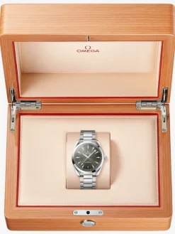 Omega SEAMASTER AQUA TERRA 150M 41 mm