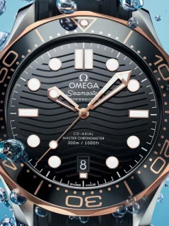 Omega SEAMASTER DIVER 300M 42 mm