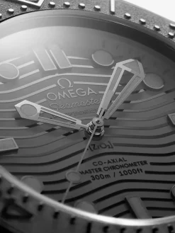 Omega SEAMASTER DIVER 300M 43,5 mm